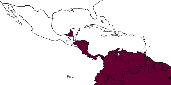 map of Mayaponera arhuaca     (Forel, 1901)
